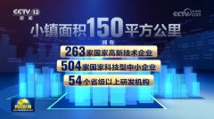    <strong>【一线调研】织进面料里的“立异因子”</strong>